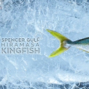 Clean Seas Seafood Ltd