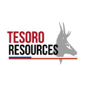 Tesoro Gold Ltd