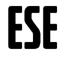ESE Entertainment Inc Ordinary Shares