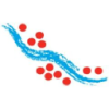 Laramide Resources Ltd