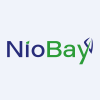 Niobay Metals Inc