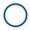 Oncolytics Biotech Inc