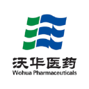 Shandong Wohua Pharmaceutical Co Ltd Class A