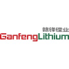 Ganfeng Lithium Group Co Ltd