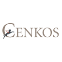 Cenkos Securities PLC