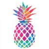 Pineapple Power Corp PLC
