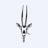 Oryx International Growth Fund