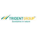 Trident Ltd