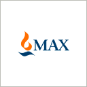 Max Financial Services Ltd