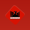 Phoenix International Ltd