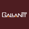 Gallantt Ispat Ltd