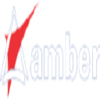 Amber Enterprises India Ltd Ordinary Shares