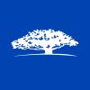 WisdomTree Platinum 2x Daily Leveraged