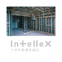 Intellex Co Ltd