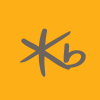 KB RISE KOSDAQ150 ETF