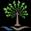 BeyondSpring Inc