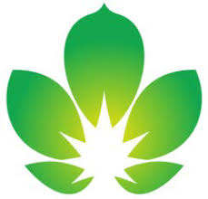 Sinopharm Tech Holdings Ltd