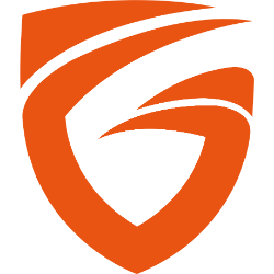 Guardforce AI Co Ltd Ordinary Shares
