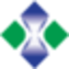 Xinji Shaxi Group Co Ltd