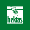 Hektas Ticaret AS