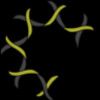 Alpine Immune Sciences Inc
