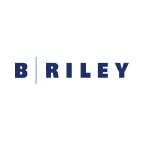B. Riley Financial Inc 7.375% PRF PERPETUAL USD 25 - Ser B 1/1000 Int
