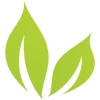 Bright Green Corp