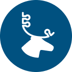 Caribou Biosciences Inc Ordinary Shares