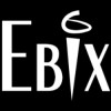 Ebix Inc