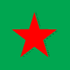 Heineken NV ADR