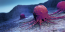 IO Biotech Inc