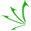 Kaya Holdings Inc