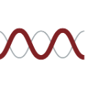 Molecular Templates Inc