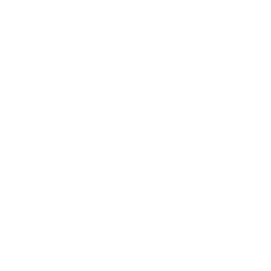 Reliance Global Group Inc