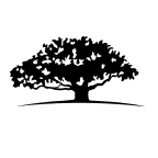 WisdomTree Dynamic Currency Hedged International SmallCap Equity Fund