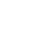 Borqs Technologies Inc