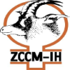 ZCCM Investments Holdings PLC Class B